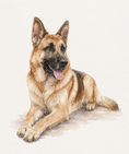 Load image into Gallery viewer, 相框iu
