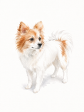 Load image into Gallery viewer, 相框iu
